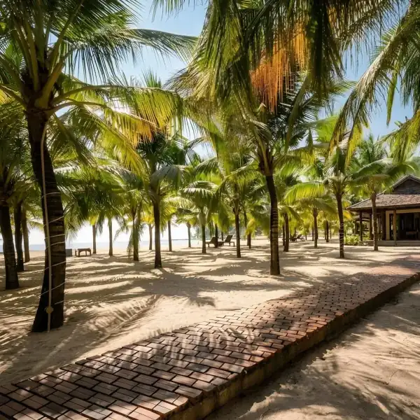 Lối đi dừa đến bãi biển Milana